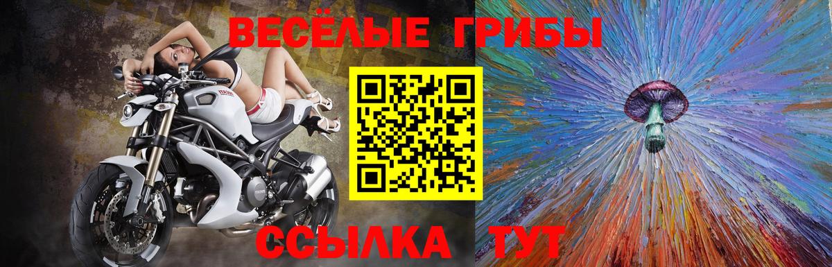 как найти   Вход с VPN  Шадринск  Галлюциногенные грибы Magic Shrooms 